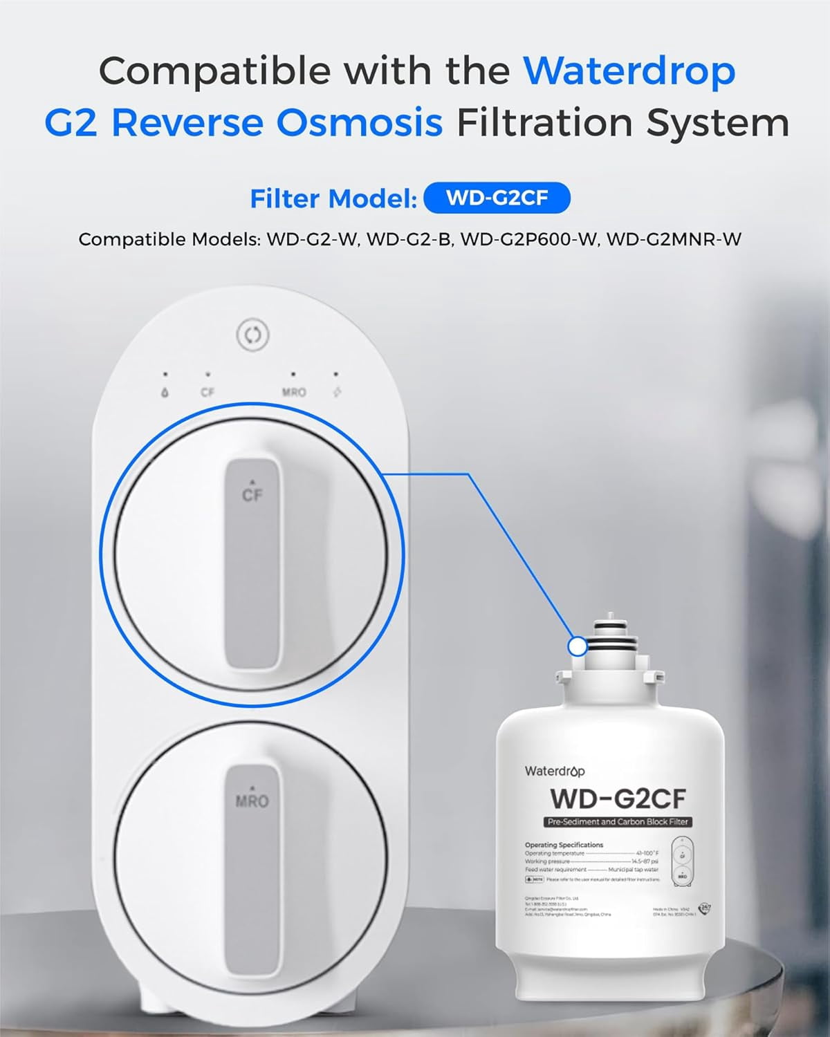 Waterdrop G2-2CF Filter, Replacement for G2 & G2P600 Reverse Osmosis System, 12-Month Lifetime, 2-Pack