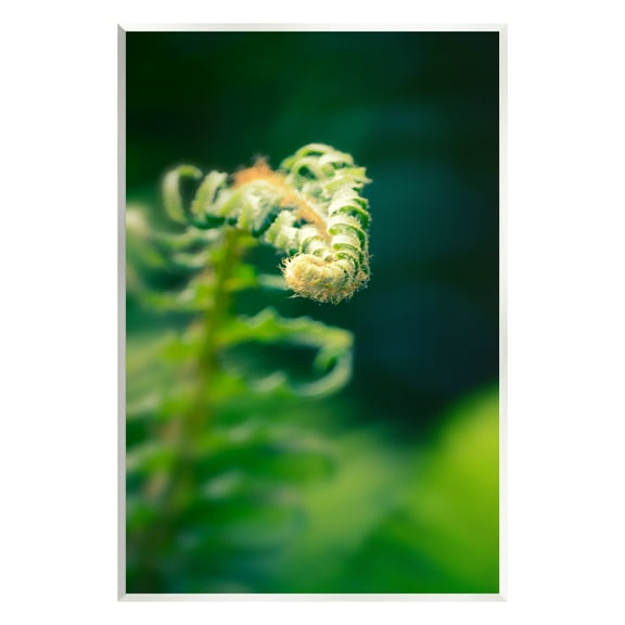 Stupell Fern Leaves Nature Photography Botanical & Floral Photography Wall Plaque Unframed Art Print Wall Art