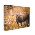 thumbnail image 4 of Stupell Industries Moose in Autumn Foliage Animals & Insects Photography Gallery Wrapped Canvas Art Print Wall Art, 20 x 16, 4 of 8