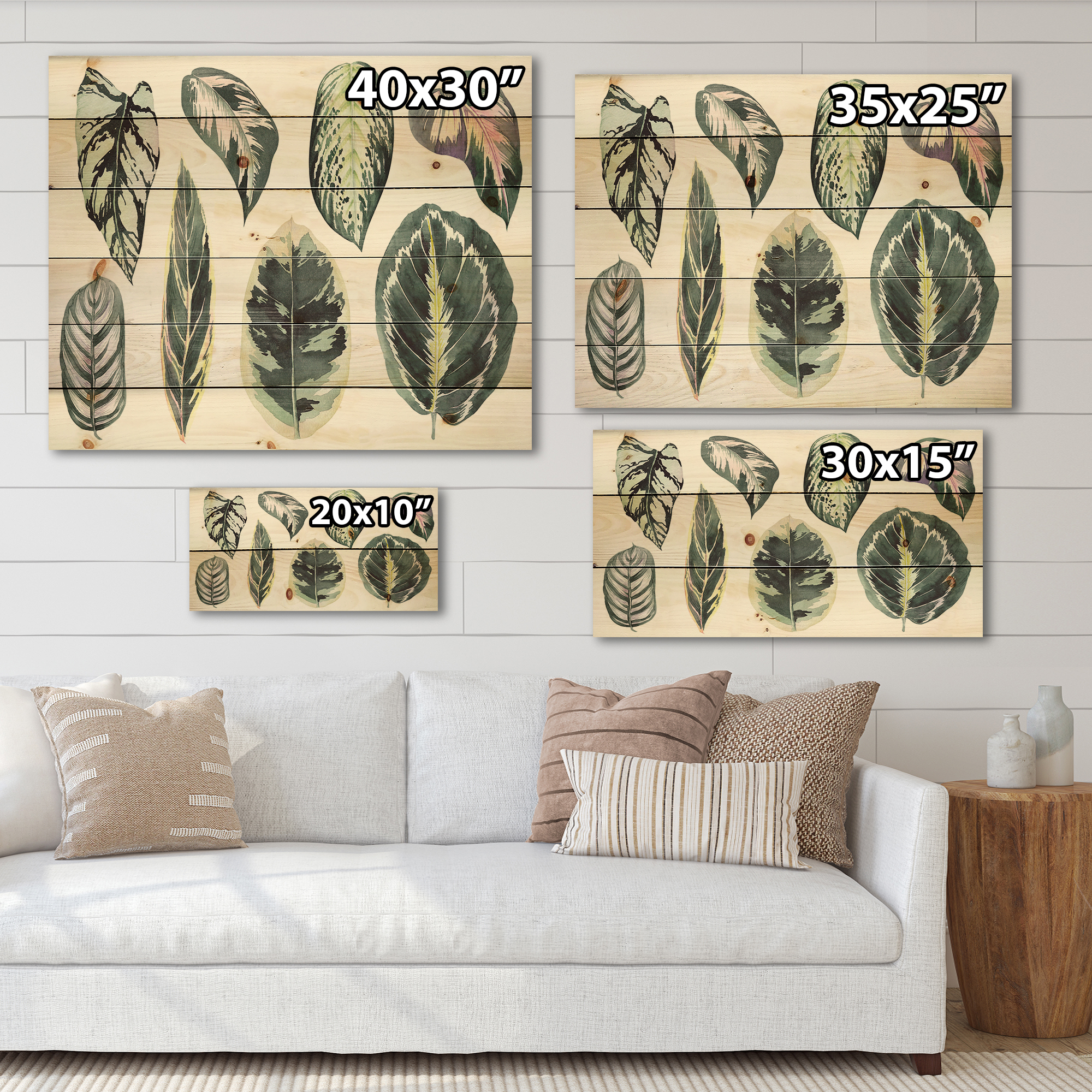 Designart 'Tropical Calathea Leaves On White' Bohemian & Eclectic Print on Natural Pine Wood