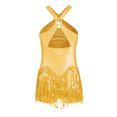 thumbnail image 2 of Raenseen Costume de Danse Jazz Rumba Samba pour Filles Enfants Robe de Danse Latine à Paillettes Ourlet à Franges Ballet Or 12, 2 of 7