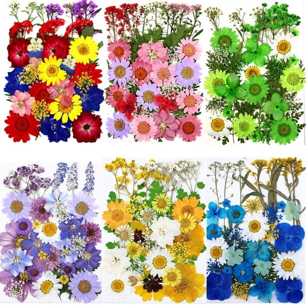Bolsa de material en relieve con flores secas Bolsa combinada con flores prensadas Pegatina de muestra de hoja real con flores reales