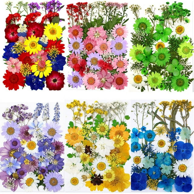 Bolsa de material en relieve con flores secas Bolsa combinada con flores prensadas Pegatina de muestra de hoja real con flores reales