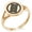 Rose Gold, variant on Stainless Steel Shoni Samurai Crest Minimalist Oval Top Polished Statement Signet Ring