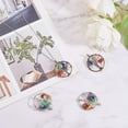 thumbnail image 5 of 4pcs Tree of Life Pendant Charms Chakra Crystals Tree Life Charms Gemstone Chakra Crystal Stone Pendant Good Luck Yoga Charms, 5 of 10