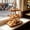 Brown-Free Size/L, variant on 3 Tier Rattan Serving Basket Wicker Snack Tray Rectangular Woven Food Display Stand for Cupcake Macaron Tea Party Kitchen Home Decor 10.2x9.4x7.5 Inch