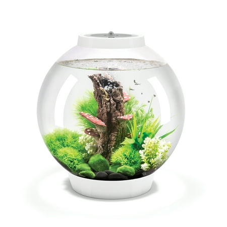 biOrb CLASSIC 30 Aquarium with MCR Light - 8 gallon, white