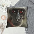 thumbnail image 2 of Qinduosi Colobus Monkey Double Sided Plush Pillow Cover Cute Animals Sofa Living Room Home Decor Sofa Pillow/Cushion Cover White, 2 of 5