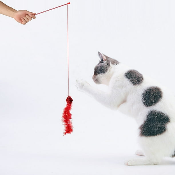 Cat chaser clearance toy