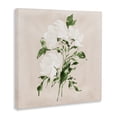 thumbnail image 2 of Stupell Industries Eclectic White On Tan Blossom Canvas Art, 30 x 30, by Lucille Price, 2 of 8