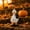 B, variant on XGFHYJEH Porch Goose Outfits Halloween 23 inch, Porch Goose Clothes Clearance, Porch Goose Accessories Costume Clothing for Outdoor Outside Front Proch Lawn Yard Garden Decor