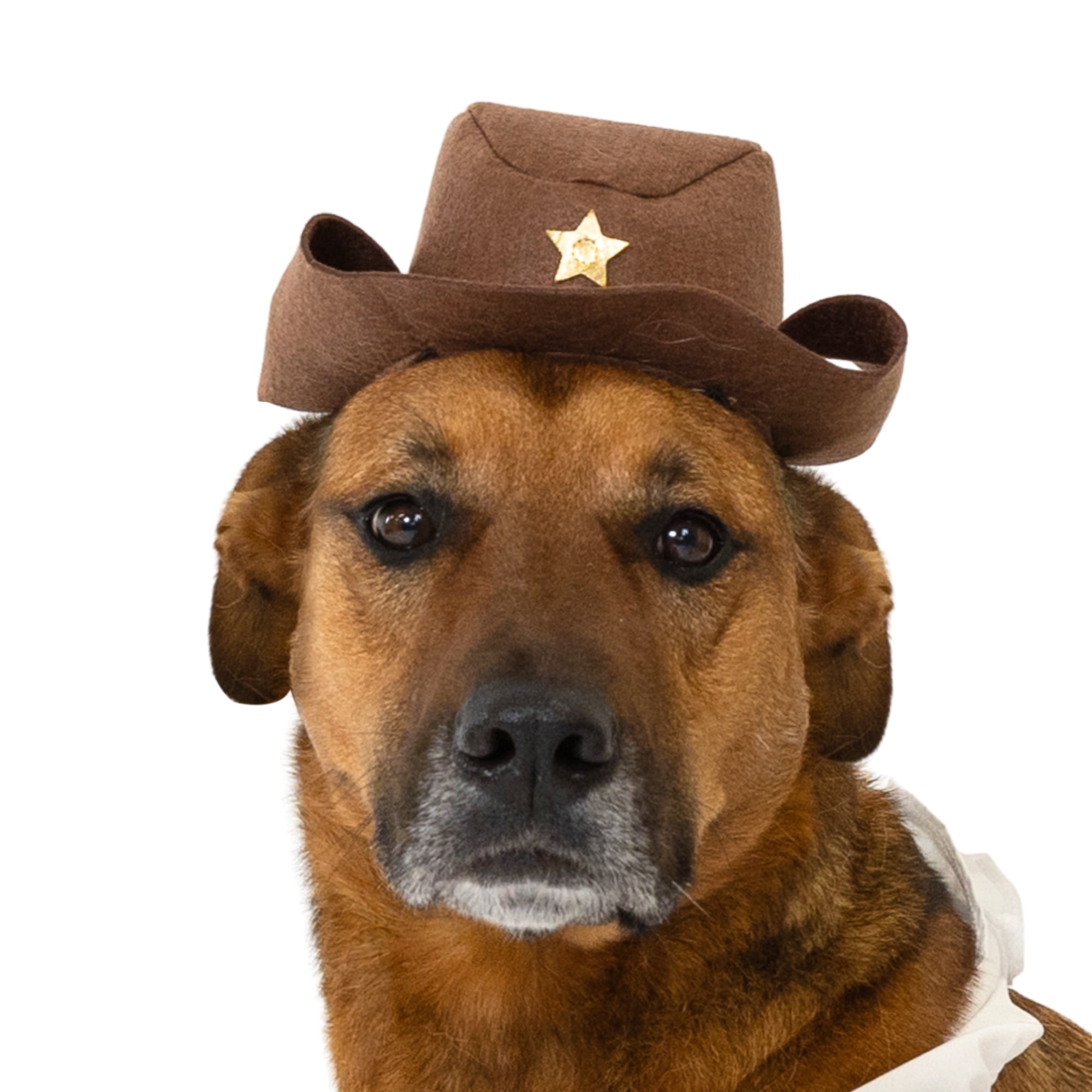 Vibrant Life Halloween Cowboy Costume for Dogs, Multicolor, Large