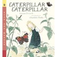 thumbnail image 2 of Candlewick Press CP-9780763642631 Livre Chenille Chenille, 2 of 2