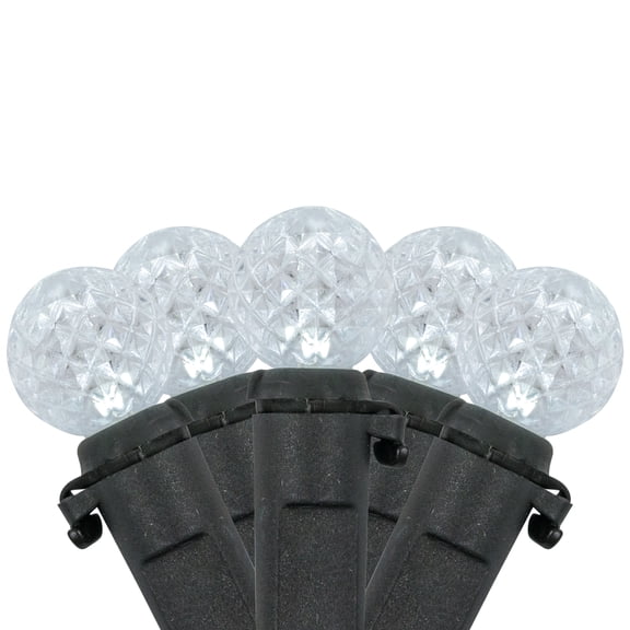 Northlight LED G12 Berry Christmas Lights - Pure White - 16' Black Wire - 50ct