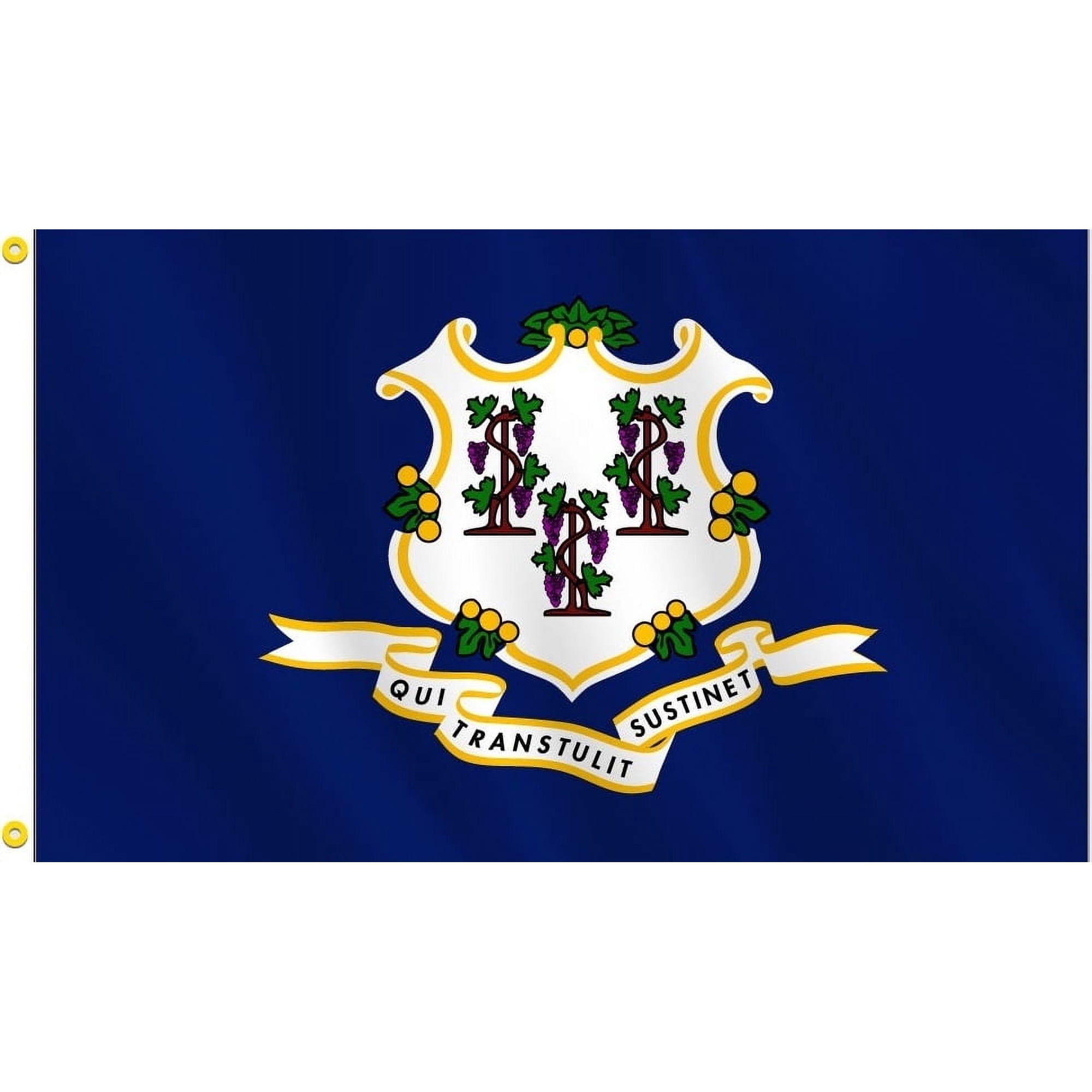 Connecticut State Flag – 3x5 ft Durable Polyester – Indoor/Outdoor Use
