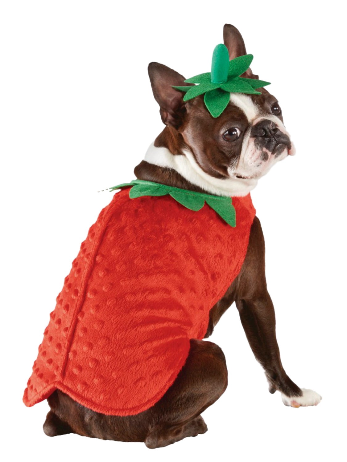 walmart dog costumes halloween