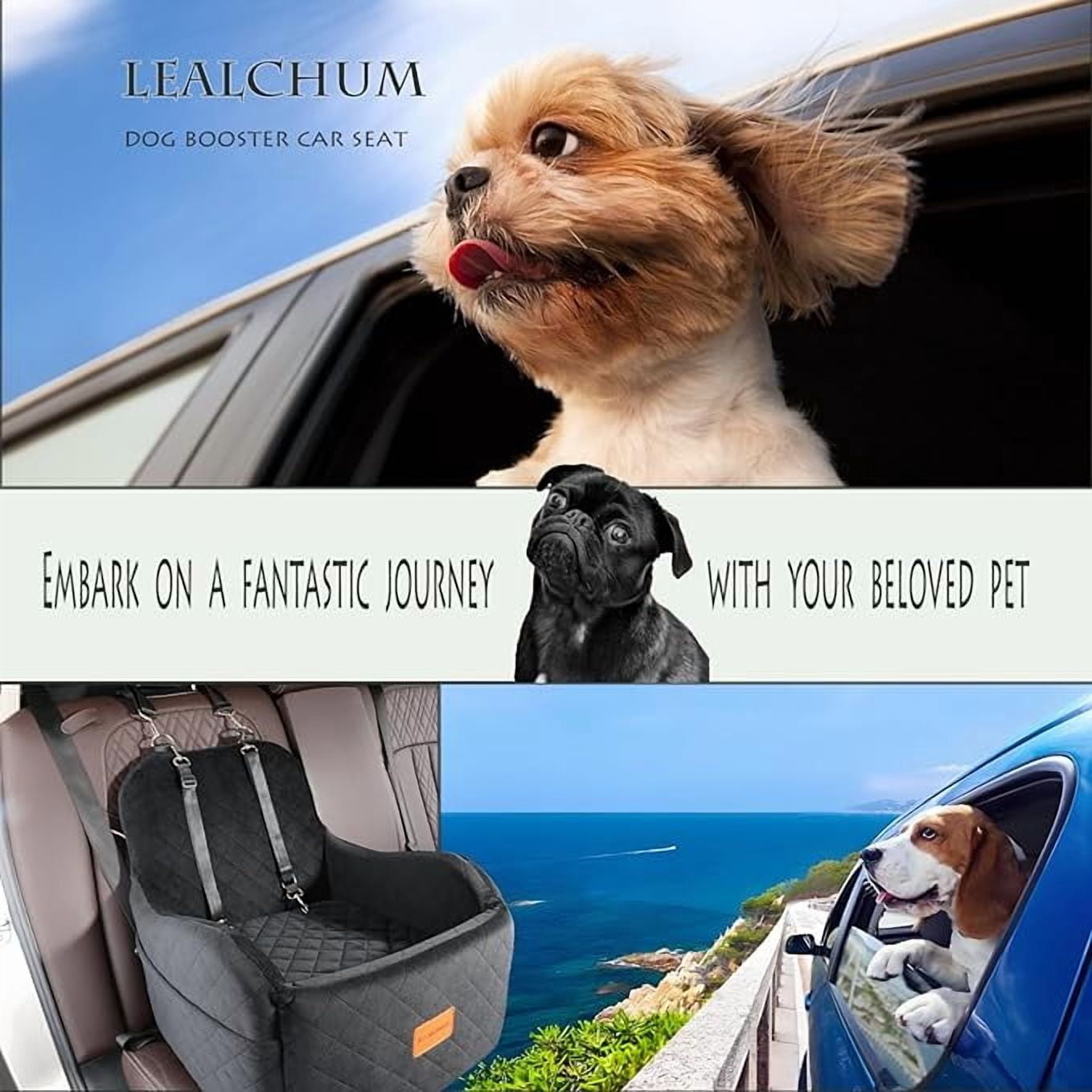 Dog Booster Car Seat for Small/Medium Pets,Puppy Portable Car Seat with Elevated Cushion,Fully Detachable and Washable Pet Car Seat with 2 Storage Pockets,Easy to Install(Black, Medium)
