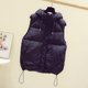 thumbnail image 1 of Chaleco de bolsillo para mujer, chaqueta corta, invierno, sin mangas, con capucha, cremallera, prendas de vestir exteriores sólidas Fridja  po1241, 1 of 6