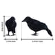 thumbnail image 4 of 4uds. Decoración de terror Animal Pájaro Plástico y plumas Halloween para el hogar Fiesta de Halloween, 4 of 5