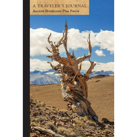 Ancient Bristlecone Pine Forest: A Traveler's Journal, (Paperback)