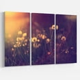 thumbnail image 1 of Designart - Photo Vintage Pissenlit Prairie - Grande Impression sur Toile Florale, 1 of 2