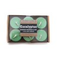 thumbnail image 4 of Eucalyptus Lovers Bundle, 4 of 4