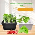 thumbnail image 2 of Hydroponic Growing Box For Indoor Gardening And Vegetables Polypropylene Construction, 2 of 9