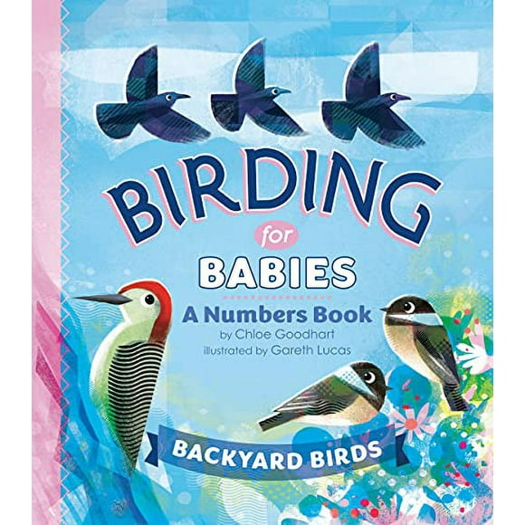 Birding for Babies: Backyard Birds: A Numbers Book (Board Book)
