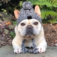 thumbnail image 4 of LOVEVER Pet Dog Knitted Scarf and Hat Set Winter Neck Ear Warmer, 4 of 8