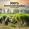 thumbnail image 2 of Papel higiénico ZENO Organic Bamboo, 3 capas, 12 rollos gigantes, 2 of 7