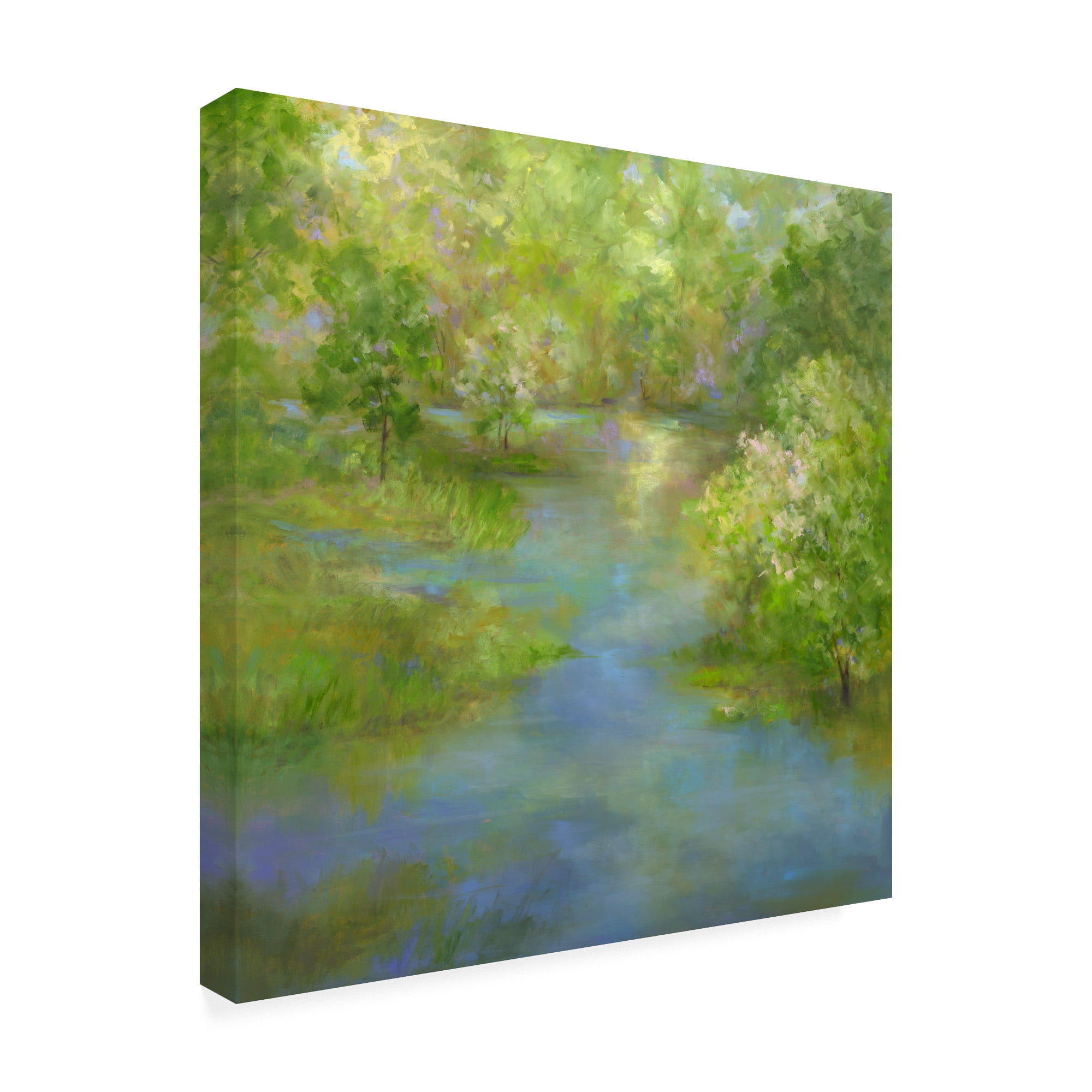 Trademark Fine Art 'Spring Lake Reflections' Canvas Art by Sheila Finch