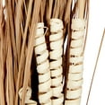 thumbnail image 5 of 57" Dried Plant Natural Foliage Pigeon pea Bouquet, by DecMode (2 Count), 5 of 9