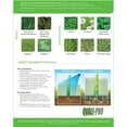 thumbnail image 3 of Negate 37WG Herbicide – Powerful, Dual-Action Weed Control for Turfgrass, 3 of 6