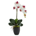 thumbnail image 6 of Nearly Natural Phalaenopsis Orchid Artificial Arrangement in Black Vase, 6 of 7