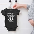 thumbnail image 5 of Big Sis Little Sister Younger Sibling Bodysuit Jumper Girls Infant Baby Brisco Brands 12M, 5 of 6
