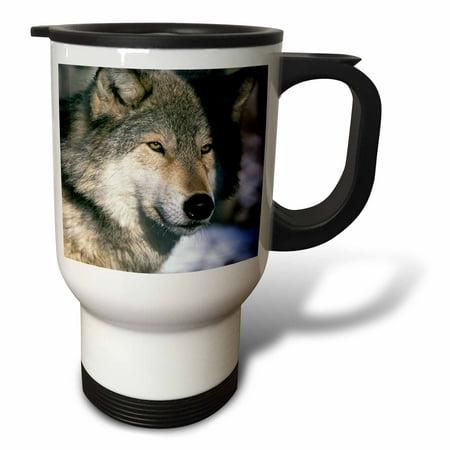 

North America USA Minnesota. Wolf (Canis lupus) - US24 GJE0012 - Gavriel Jecan 14oz Stainless Steel Travel Mug tm-91386-1
