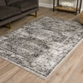 thumbnail image 2 of Adam Vintage Palace Gray Area Rug, 2 of 8
