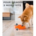 thumbnail image 3 of Comedero lento para perros Orange L Fun Feeder Slo-Bowl - Comedero lento anti-tragantamiento para perros - Tamaño, 3 of 5