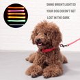 thumbnail image 1 of Collier Lumineux pour Animaux de Compagnie Rechargeable par USB, Collier Lumineux à LED avec Sangle, Rose, m, 1 of 6