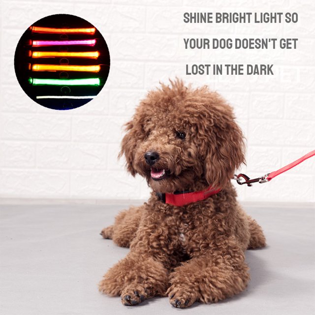 Collier Lumineux pour Animaux de Compagnie Rechargeable par USB, Collier Lumineux à LED avec Sangle, Rose, m