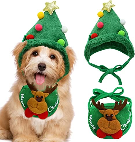 Pet Christmas Tree Hat and Santa Collar Set for Nigeria Ubuy