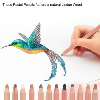 Pastel Pencils, 12 Professional Colored Pencils Charcoal Pencils