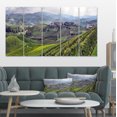 thumbnail image 1 of Vineyards in Italy Panoramic - Photography Canvas Art Print, 1 of 3