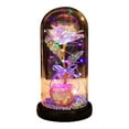thumbnail image 2 of Herrnalise Colorful Enchanted FlowerRose, LED Light String on The Colorful Flower,Lasts Forever in A Glass Dome,Rose Gifts for Women,Christmas,Wedding,Valentine's Day,Anniversary Birthday, 2 of 8