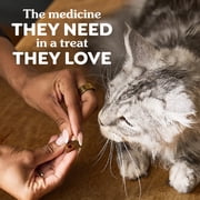 Greenies Feline Pill Pockets for Cats, Soft Cat Treats, Salmon Flavor, 3 oz Pouch