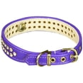 thumbnail image 2 of Chien de Compagnie en Cuir Véritable Orange 18, 2 of 2