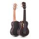 thumbnail image 1 of Ammoon Spruce 21 Ukelele Acústico 15 Traste 4 Cuerdas esquí esquí Gafas de esquí, 1 of 1