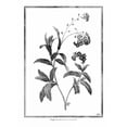 thumbnail image 2 of Grey, Jace 15x18 White Modern Wood Framed Museum Art Print Titled - Forget me not, 2 of 4