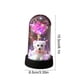 thumbnail image 3 of Luz nocturna conservada de Rose Bear para el Día de San Valentín | Cúpula de Cristal Decorativa Ambiental LED | Adorno romántico de escritorio | Flores de plástico moradas, blancas, azules, rojas, 3 of 6