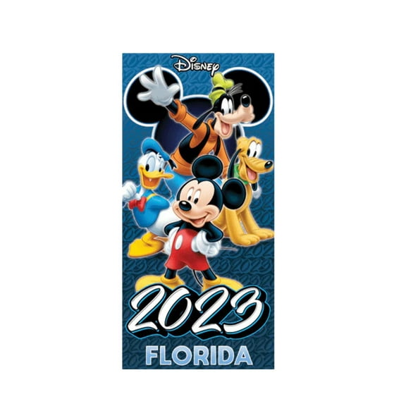 Disney 2023 Florida Beach Towel